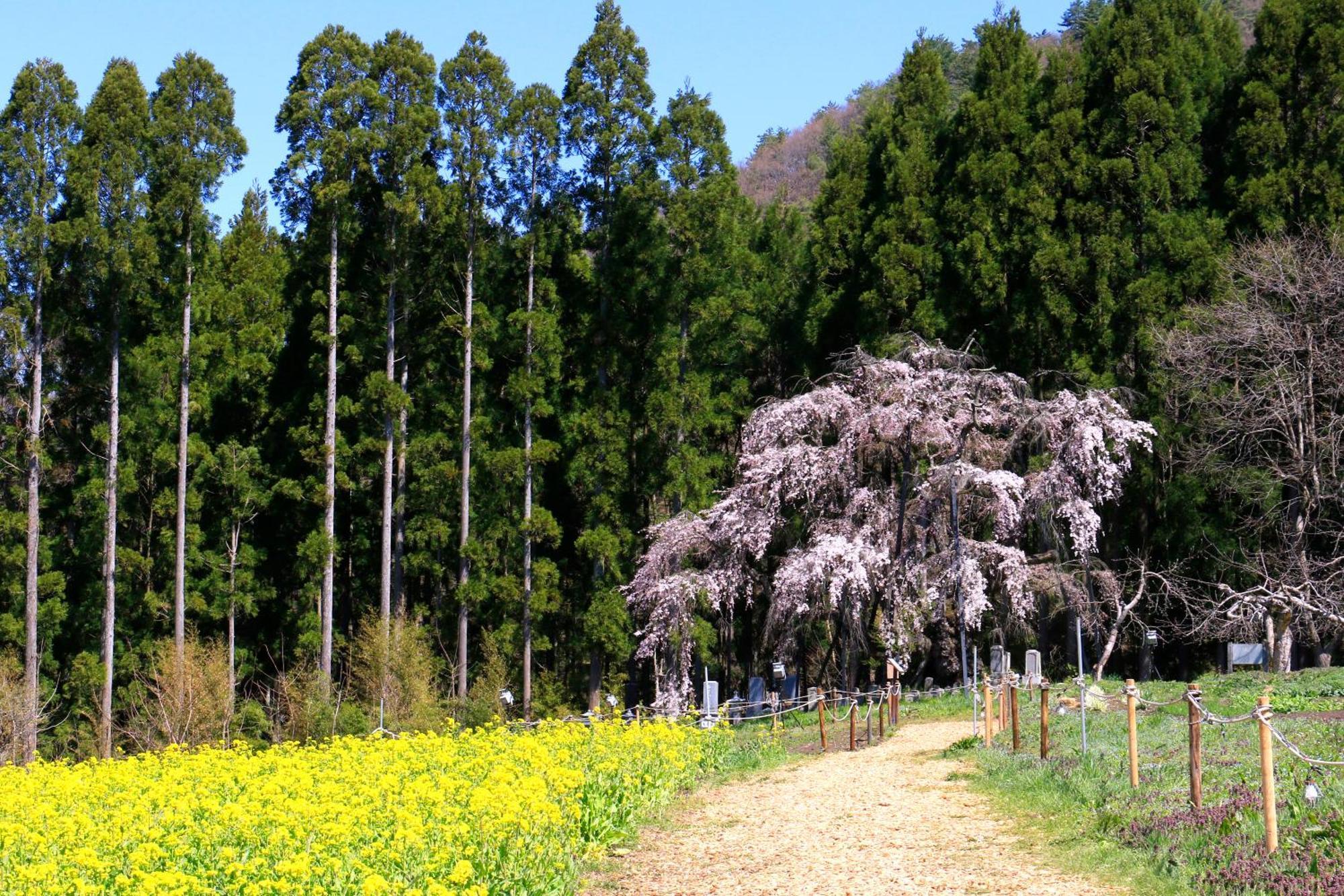 Fujiiso (Adults Only) Hotel Takayama  Luaran gambar